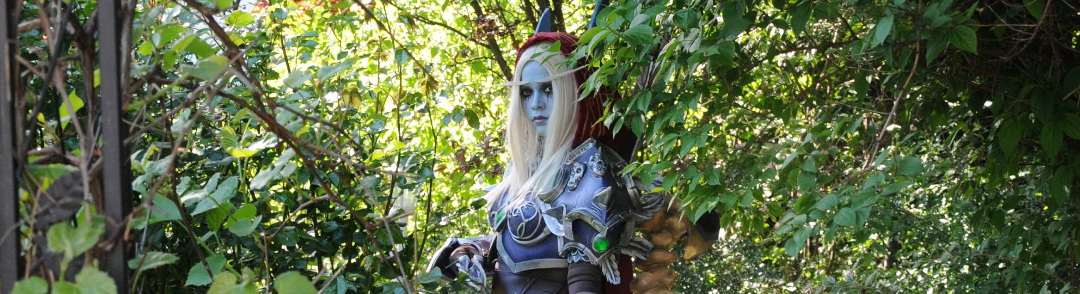 Sylvanas Banner from World of Warcraft